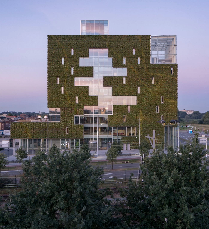 Grünfassaden sind mehr als ein Sonnenschutz an Geschäfts- und Wohngebäuden. Es ist eine Win-win-Strategie für alle beteiligte und eine Würdigung an die Natur.